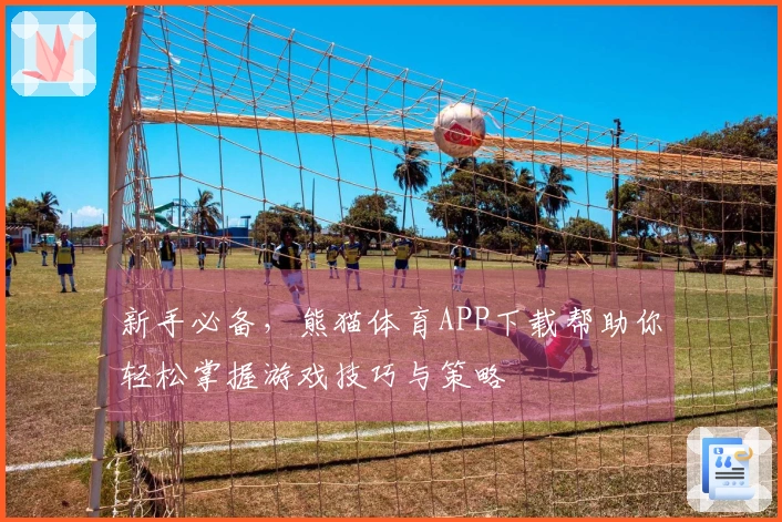 新手必备，熊猫体育APP下载帮助你轻松掌握游戏技巧与策略