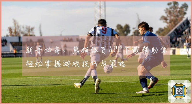 新手必备，熊猫体育APP下载帮助你轻松掌握游戏技巧与策略